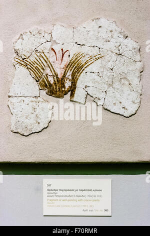 Santorini Thira. Museum der prähistorischen Thera. Minoische Wandmalerei Fragment, von der zerstörten Stadt Akrotiri getroffen, Anzeigen crocus Pflanzen. Stockfoto