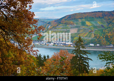 Blick in Assmannshausen bei Rüdesheim, Oberes Mittelrheintal UNESCO Weltkulturerbe, Deutschland Stockfoto