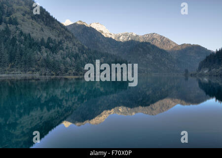 Bambus Arrow Lake Jiuzhaigou Nationalpark Sichuan, China LA007702 Stockfoto