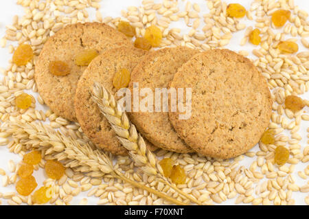 Integrale Cookies mit Rosinen und gelbe Weizen Pflanze auf weißem Hintergrund Stockfoto