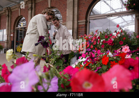 Zwei ältere Frauen in einem Bahnhof, Blick auf eine Blume-Display, Stockfoto