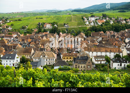 Dorf in den Weinbergen, Ribeauvillé, Haut-Rhin, Elsass, Frankreich Stockfoto