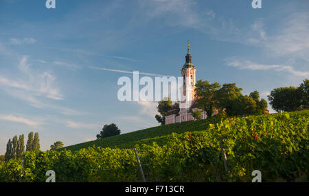 Kirche in den Weinbergen, Wallfahrt Kirche und Kloster Birnau, Unteruhldingen, Bodensee, Baden-Württemberg, Deutschland Stockfoto