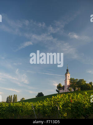 Kirche in den Weinbergen, Wallfahrt Kirche und Kloster Birnau, Unteruhldingen, Bodensee, Baden-Württemberg, Deutschland Stockfoto