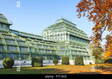 Das Palmenhaus im Garten von Schloss Schönbrunn. Wien, Österreich Stockfoto