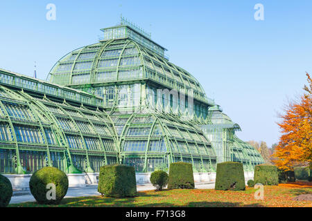 Das Palmenhaus, Schloss Schönbrunn in Wien, Österreich Stockfoto