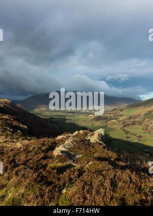 dunkle launisch Blencathra in der Ferne und das Abendlicht Beleuchtung die Gräser im Vordergrund Stockfoto