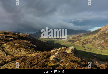 dunkle launisch Blencathra in der Ferne und das Abendlicht Beleuchtung die Gräser im Vordergrund Stockfoto