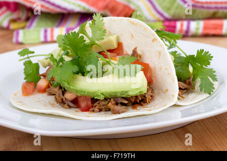 gezogen Schweinefleisch weiche Taco mit Avocado und Koriander Stockfoto