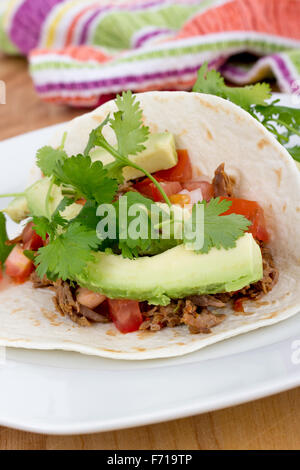 gezogen Schweinefleisch weiche Taco mit Avocado und Koriander Stockfoto