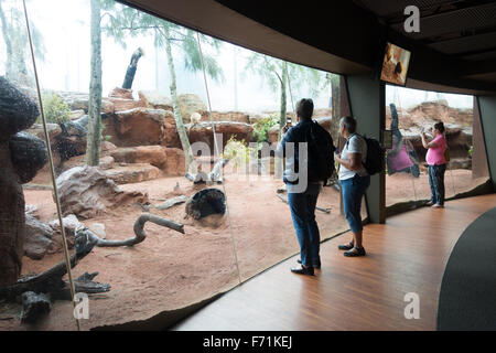 Wild Life Sydney Zoo Tourist Stockfoto