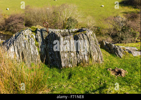 Altes Eisen Anbindehaltung Ring für Rinder in der Nähe ein gemeißelt Loch im Felsen für Wasser oder Futter auf dem walisischen Hügel gesetzt. Stockfoto