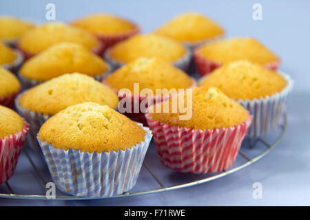 Kuchen auf einem Kuchengitter abkühlen Stockfoto