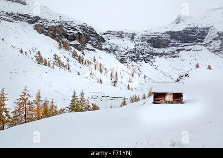 Chalet am Fleißtal, Nationalpark Hohe Tauern, Österreich, Europa Stockfoto