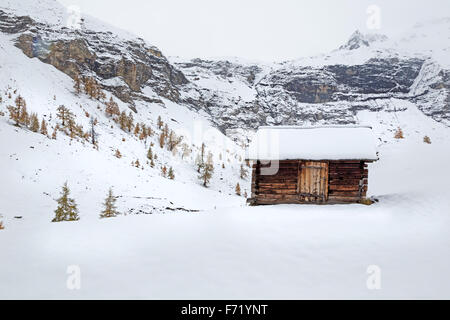 Chalet am Fleißtal, Nationalpark Hohe Tauern, Österreich, Europa Stockfoto