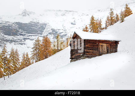 Chalet am Fleißtal, Nationalpark Hohe Tauern, Österreich, Europa Stockfoto