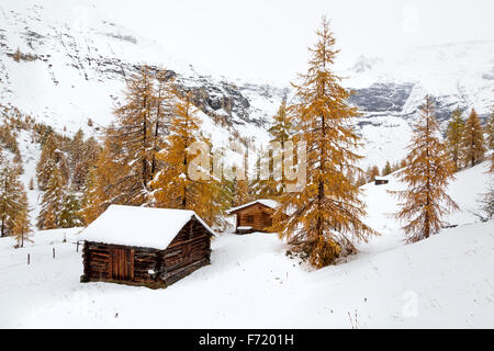 Chalet am Fleißtal, Nationalpark Hohe Tauern, Österreich, Europa Stockfoto