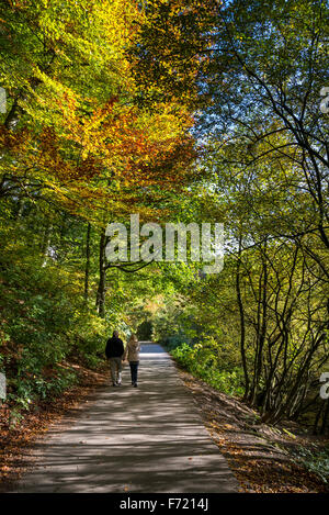 Ein älteres paar zu Fuß auf einem Pfad am Etherow Landschaftspark, Stockport, England. Einem sonnigen Herbsttag. Stockfoto