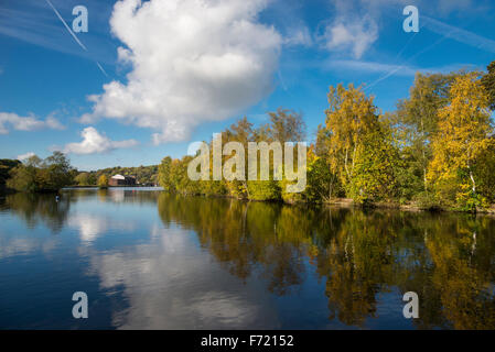 See an Stockport an einem sonnigen Herbsttag Etherow Country Park. Stockfoto