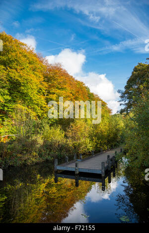 Steg über einen Naturteich bei Etherow Landschaftspark, Stockport, England. Einem sonnigen Herbsttag. Stockfoto