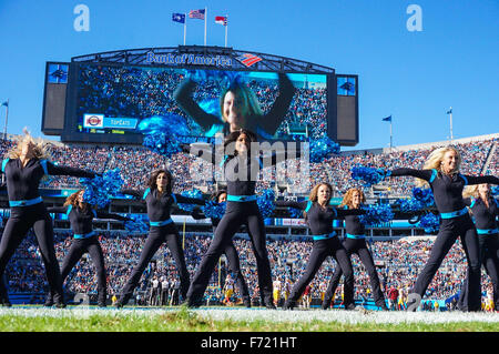 Charlotte, North Carolina, USA. 22. November 2015. NC, Carolina Panthers Cheerleader unterhalten das Publikum in einem NFL-Spiel gegen die Washington Redskins am 22. November 2015, bei der Bank of America in Charlotte, North Carolina. Die Panthers besiegten die Redskins 44-16.Margaret Bowles/CSM/Alamy Live News Stockfoto