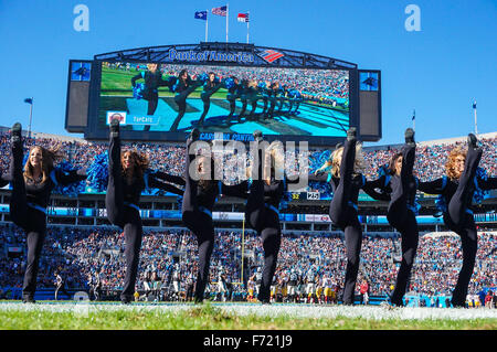Charlotte, North Carolina, USA. 22. November 2015. NC, Carolina Panthers Cheerleader unterhalten das Publikum in einem NFL-Spiel gegen die Washington Redskins am 22. November 2015, bei der Bank of America in Charlotte, North Carolina. Die Panthers besiegten die Redskins 44-16.Margaret Bowles/CSM/Alamy Live News Stockfoto