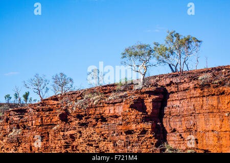 Australien, Western Australia, Pilbara, Hamersley Range, Karijini-Nationalpark, ghost Zahnfleisch auf den Rand der Weano Gorge Stockfoto