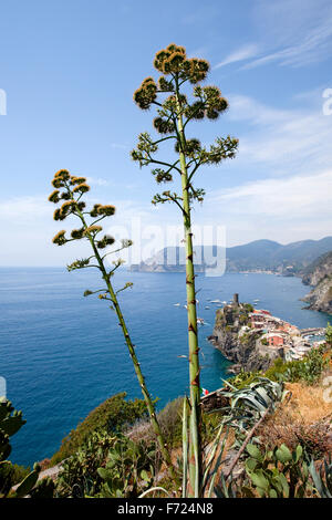 Das Dorf Vernazza gesehen von den Wanderwegen in den National Park von Cinque Terra, Italien, Stockfoto