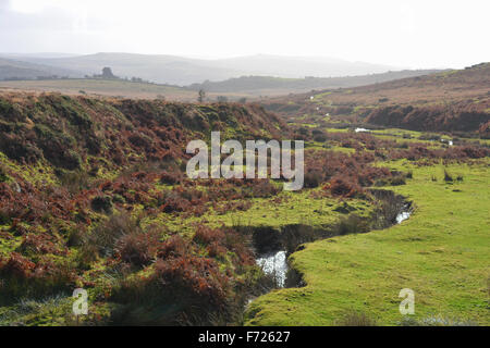 Blick Richtung Vixen Tor im Herbst, Dartmoor National Park, Devon, England Stockfoto