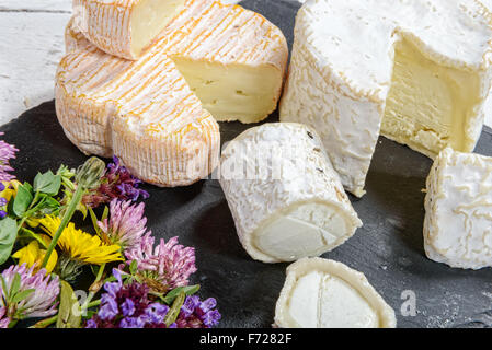 französische Käsesorten platziert auf einer schwarzen Tafel Stockfoto