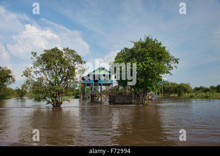 Das schwimmende Dorf Kampong Phluk in der Nähe von Siem Reap, Kambodscha Stockfoto