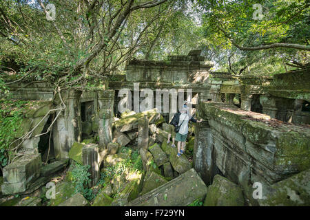 Erkunden die versteckten Dschungel-Tempel von Beng Mealea, Siem Reap, Kambodscha Stockfoto