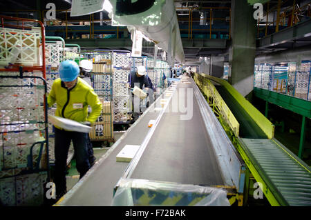 Postunternehmen Yamato. Sortieren der Post Tokio, Japan, 14.12.2009 Stockfoto