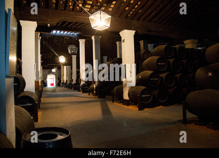 Eichenfässern reifen Sherry Wein im Keller, Gonzalez Byass Bodega, Jerez De La Frontera, Provinz Cadiz, Spanien Stockfoto