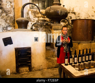 Tourguide erklärt Weinbrand Cognac-Produktion in Bodega Gonzalez Byass Jerez De La Frontera, Provinz Cadiz, Spanien Stockfoto