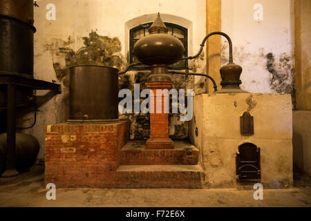Destillieren Altgeräte für Weinbrand Cognac-Produktion in der Provinz Gonzalez Byass Bodega, Jerez De La Frontera, Cadiz, Spanien Stockfoto