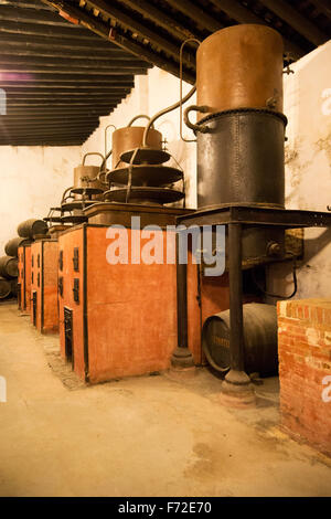 Destillieren Altgeräte für Weinbrand Cognac-Produktion in der Provinz Gonzalez Byass Bodega, Jerez De La Frontera, Cadiz, Spanien Stockfoto