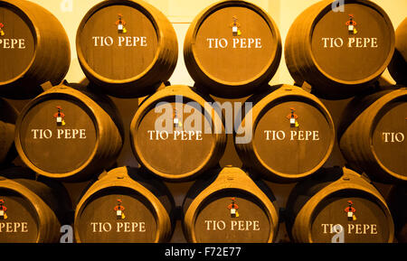Eichenfässern von Tio Pepe Fino Sherry Wein Reifungskeller, Gonzalez Byass Bodega, Jerez De La Frontera, Provinz Cadiz, Spanien Stockfoto