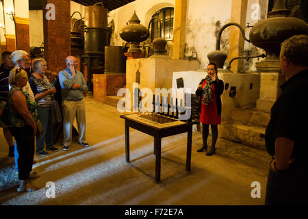 Tourguide erklärt Weinbrand Cognac-Produktion in Bodega Gonzalez Byass Jerez De La Frontera, Provinz Cadiz, Spanien Stockfoto