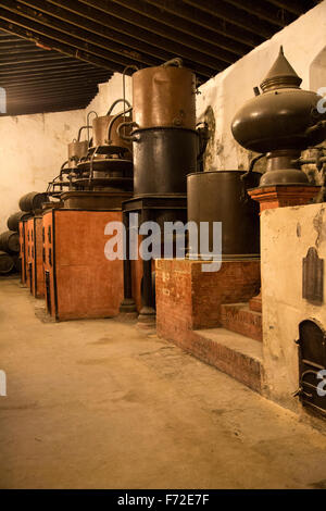 San Bruno Marke Weinbrand Cognac-Produktion in der Provinz Gonzalez Byass Bodega, Jerez De La Frontera, Cadiz, Spanien Stockfoto