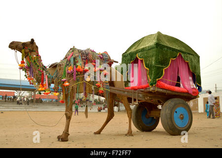 Kamel Wagen Pushkar fair, Ajmer, Rajasthan, Indien, Asien Stockfoto