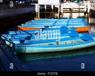 Ruderboote zu mieten ausgerichtet an der Themse in Henley-on-Thames, Oxfordshire, England, UK Stockfoto