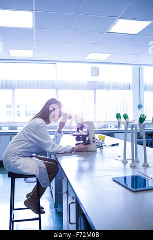 Wissenschaftler arbeiten mit dem Mikroskop im Labor Stockfoto