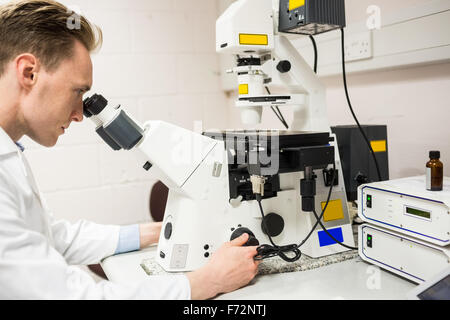 Wissenschaftler auf der Suche durch ein Mikroskop Stockfoto