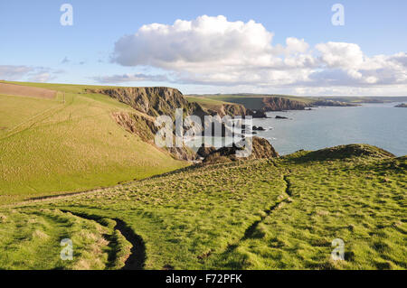 West auf dem South West Küste Weg zur Westcombe, Ayrmer, Challaborough und Burgh Island anzeigen Stockfoto