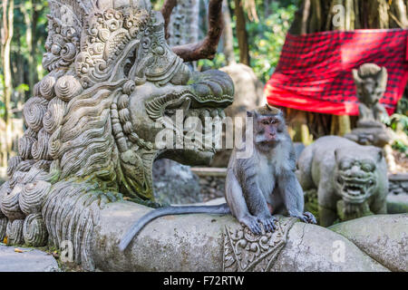 Long-tailed Makaken (Macaca Fascicularis) in Sacred Monkey Forest, Ubud, Indonesien Stockfoto