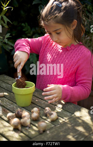 Junges Mädchen (7 Jahre alt) bis Frühjahr Birnen Topfen Stockfoto