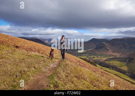 Ein Wanderer zu Fuß mit ihrem Hund in Richtung Gipfel Robinson über hohe Snab Bank im englischen Lake District, Großbritannien. Stockfoto