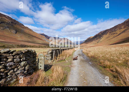 Looking along Newlands Beck, Derwent Fells in the English Lake District, UK. Stockfoto