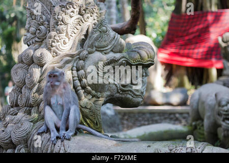 Affe am Heiligen Monkey Forest, Ubud, Bali, Indonesien Stockfoto